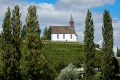 DSCN3587